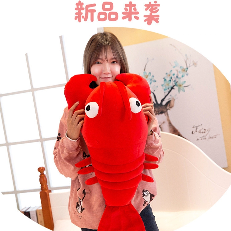 27cm50cm70cm