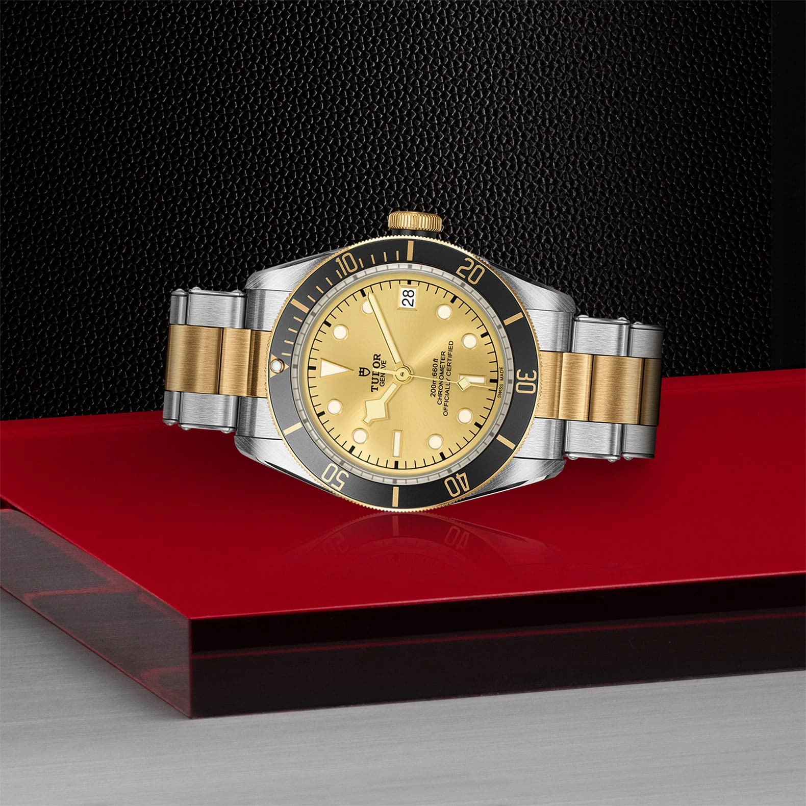 TUDOR 200m 41mm M79733N-0004