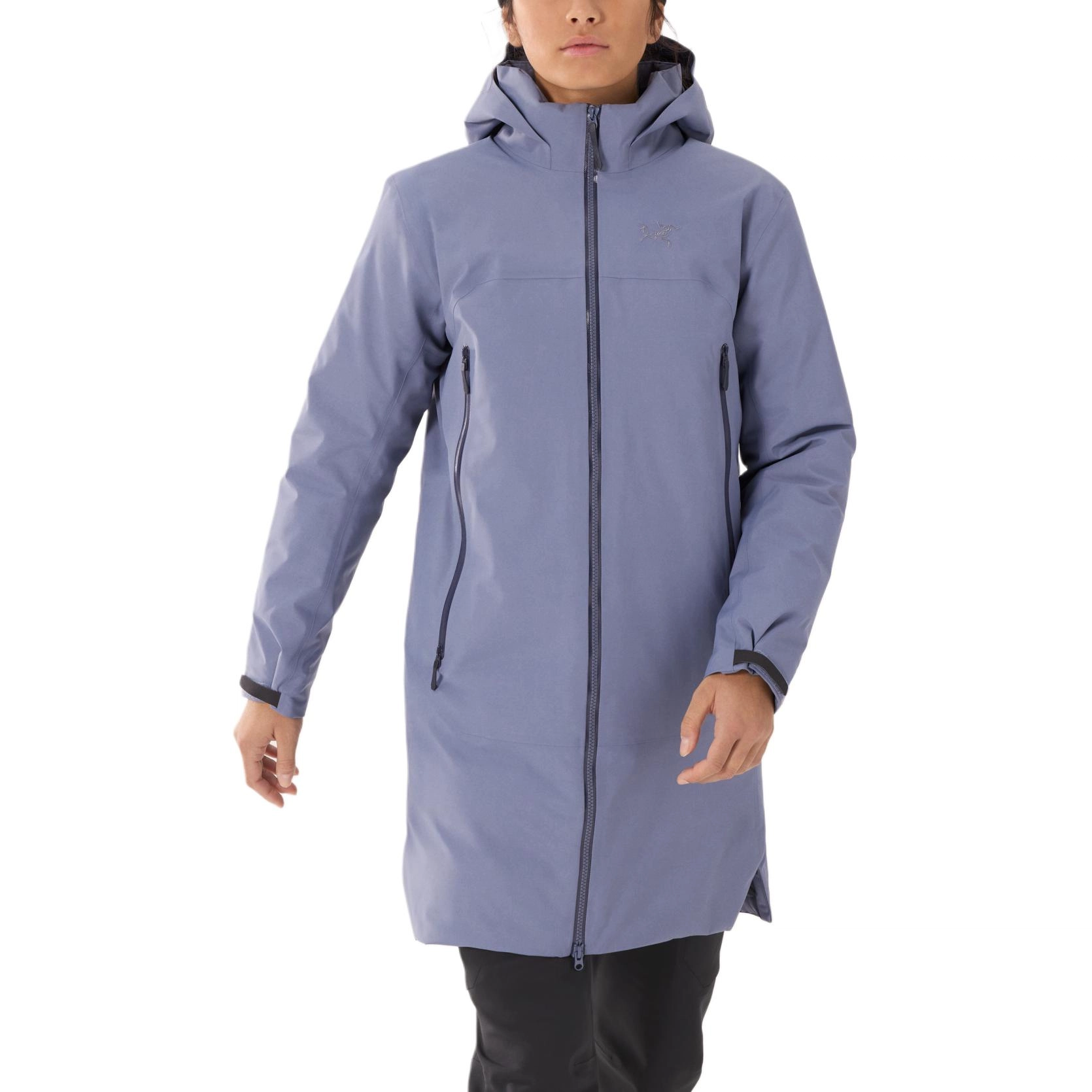 Arcteryx Beta