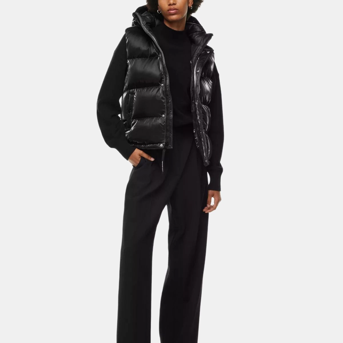 ARITZIA Super Puff Liquid Shine 5