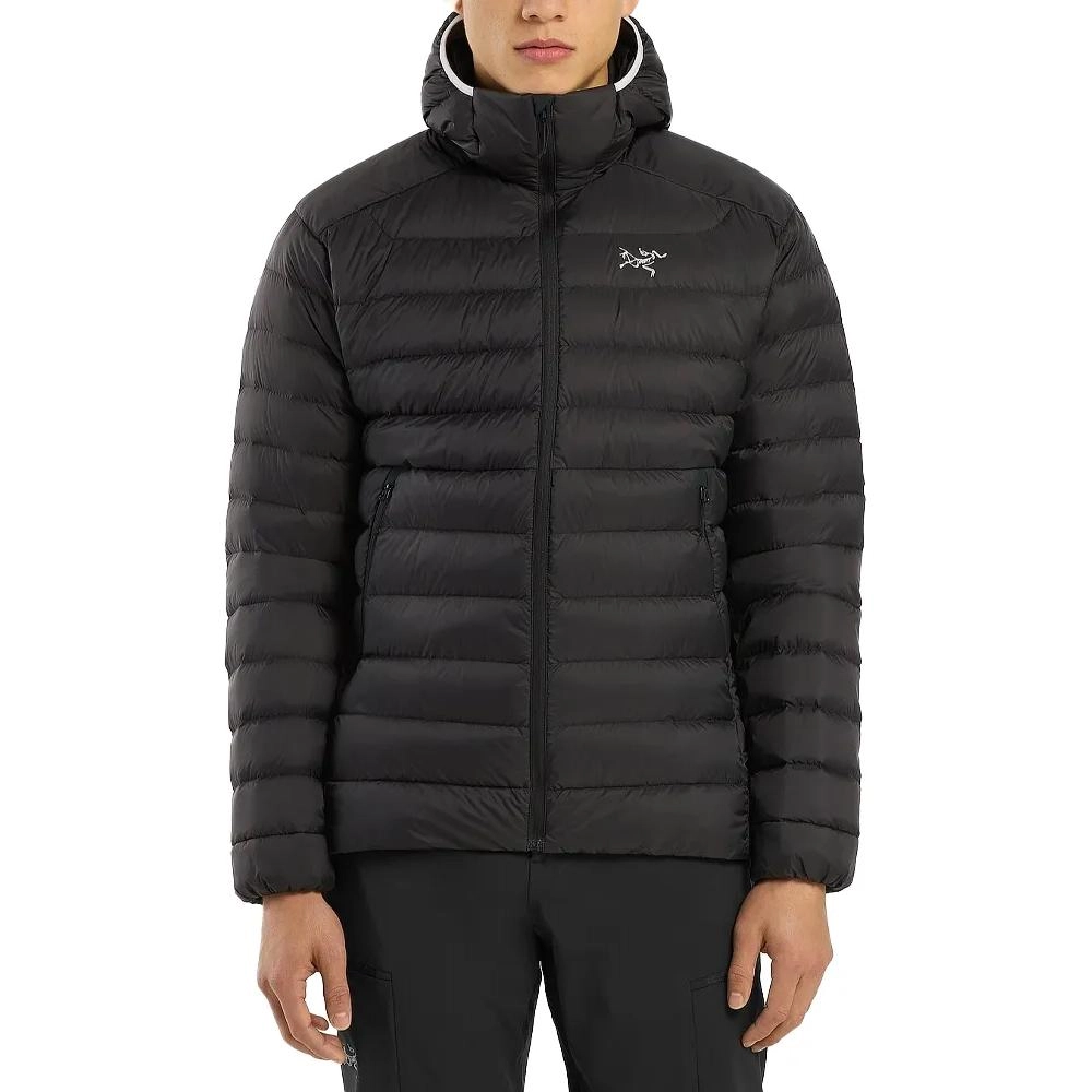 Arcteryx cerium sv hoody