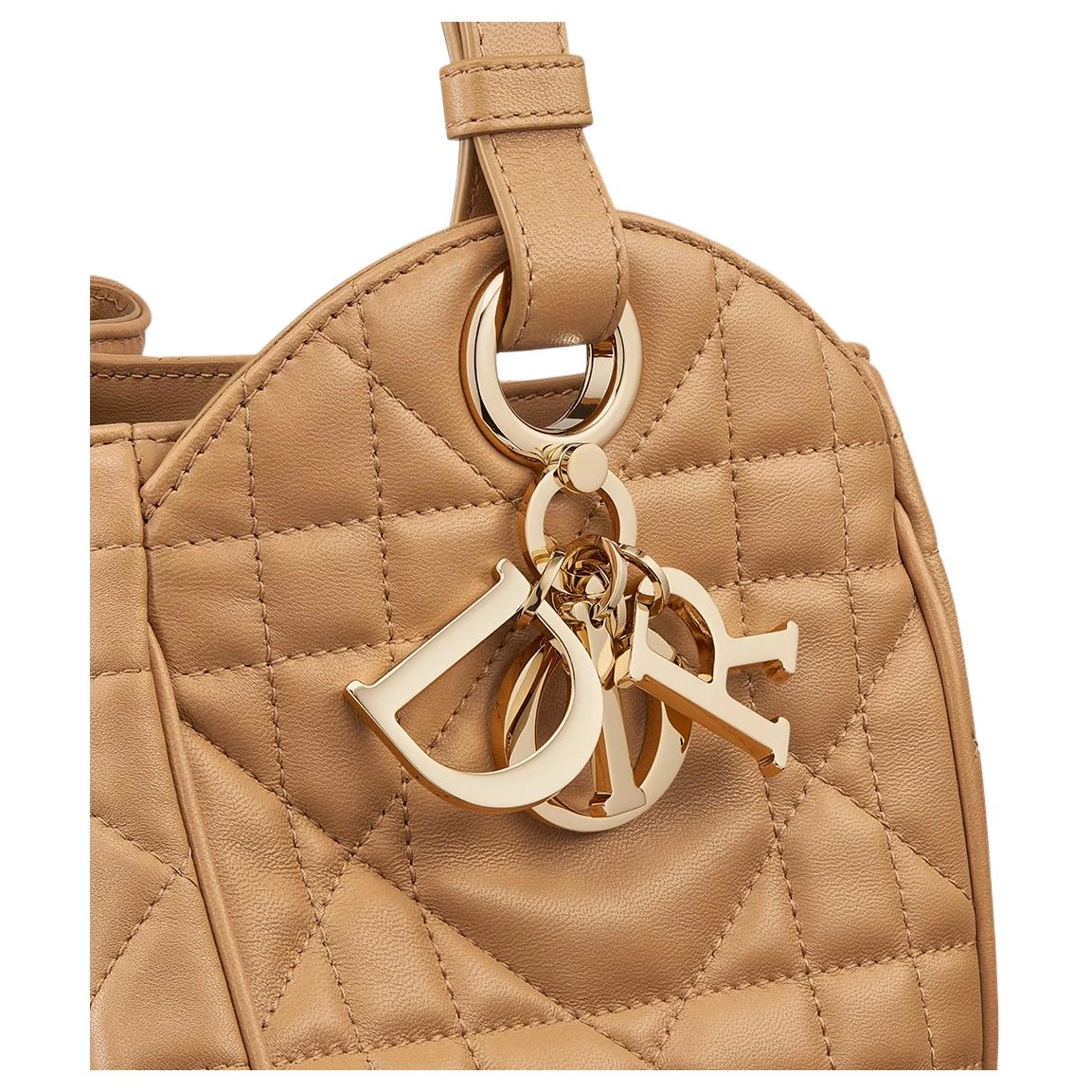 DIOR D-Motion