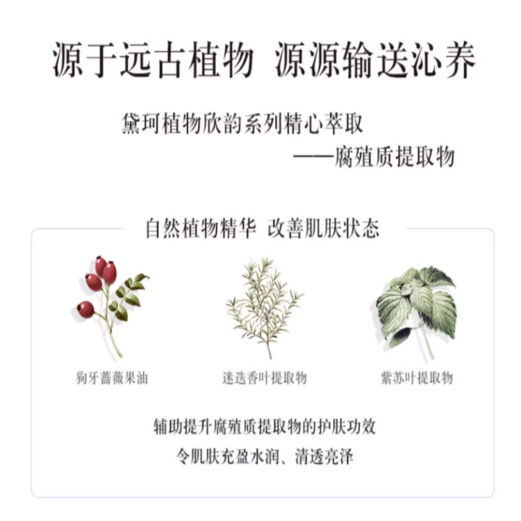 200ml+ 200ml+ 200ml