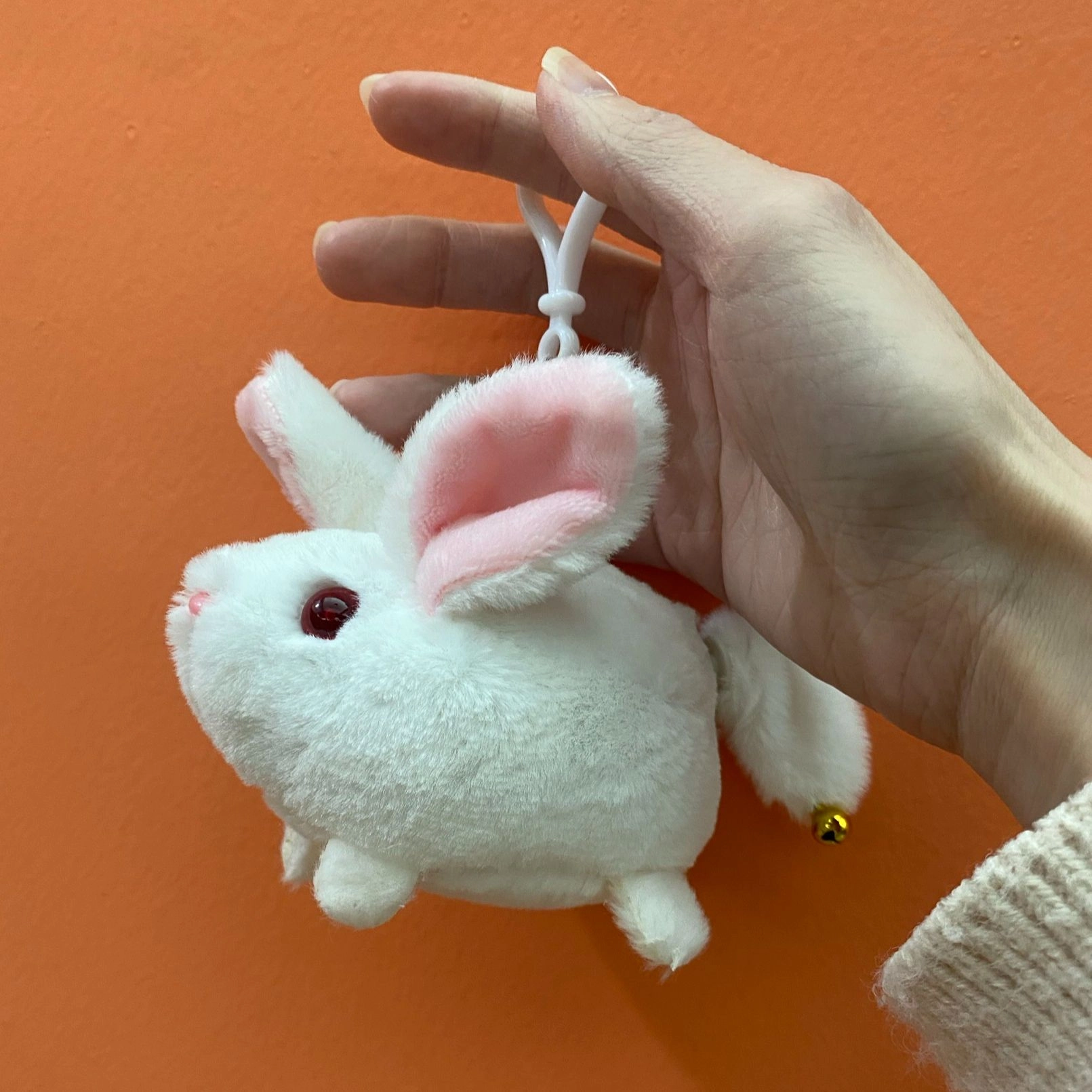 5cm