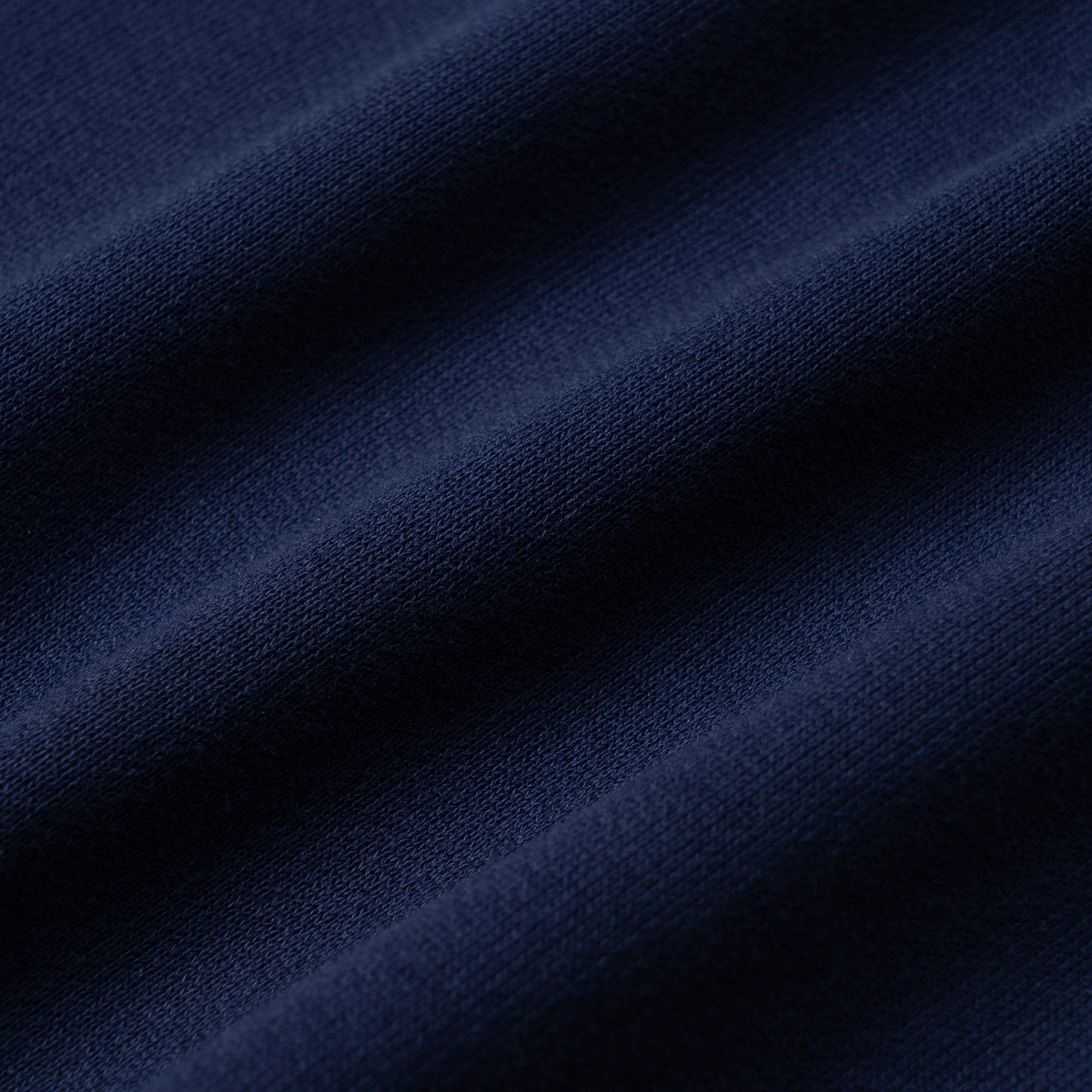 Polo Ralph Lauren Logo