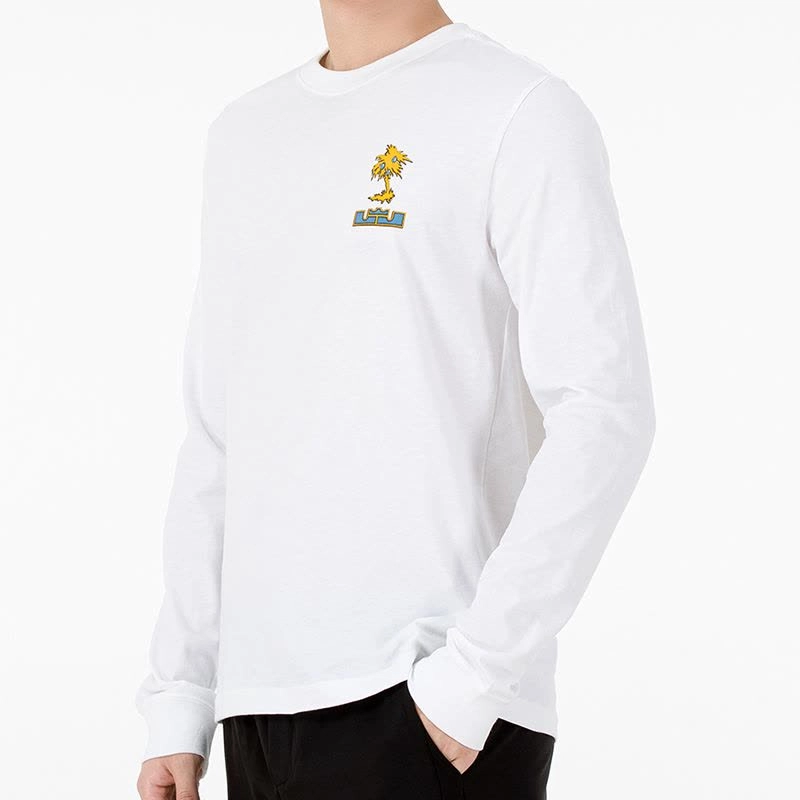 Nike Lebron Sfg T