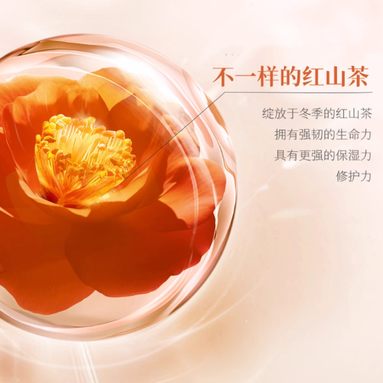 半亩花田 山茶花水乳补水护肤套装 保湿滋润 四件套