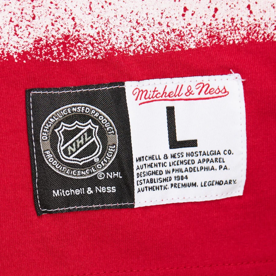 Mitchell Ness x NHL Detroit Red Wings T