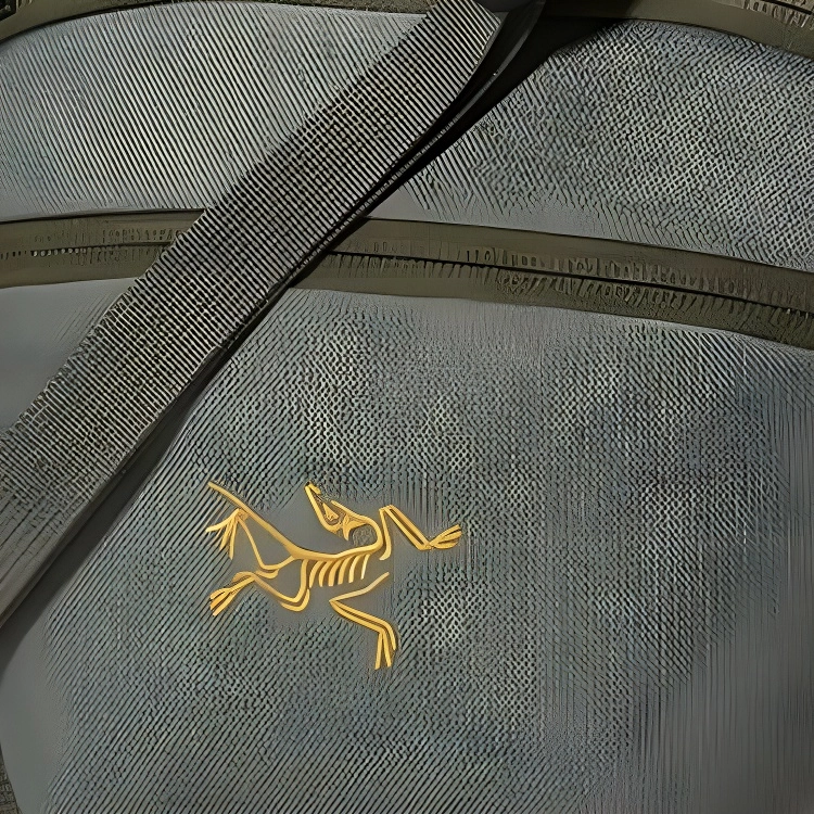 Arcteryx MANTIS 2 WAIST PACK Logo