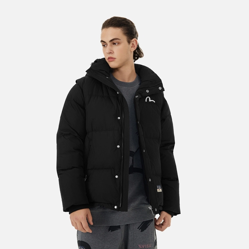 EVISU 2024