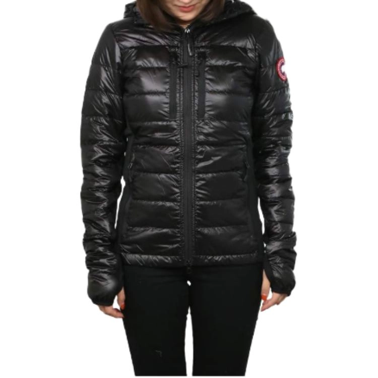 Canada Goose
