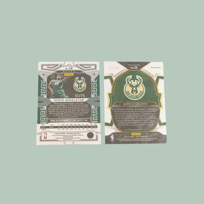PANINI 2022-23 6175 +select 5275