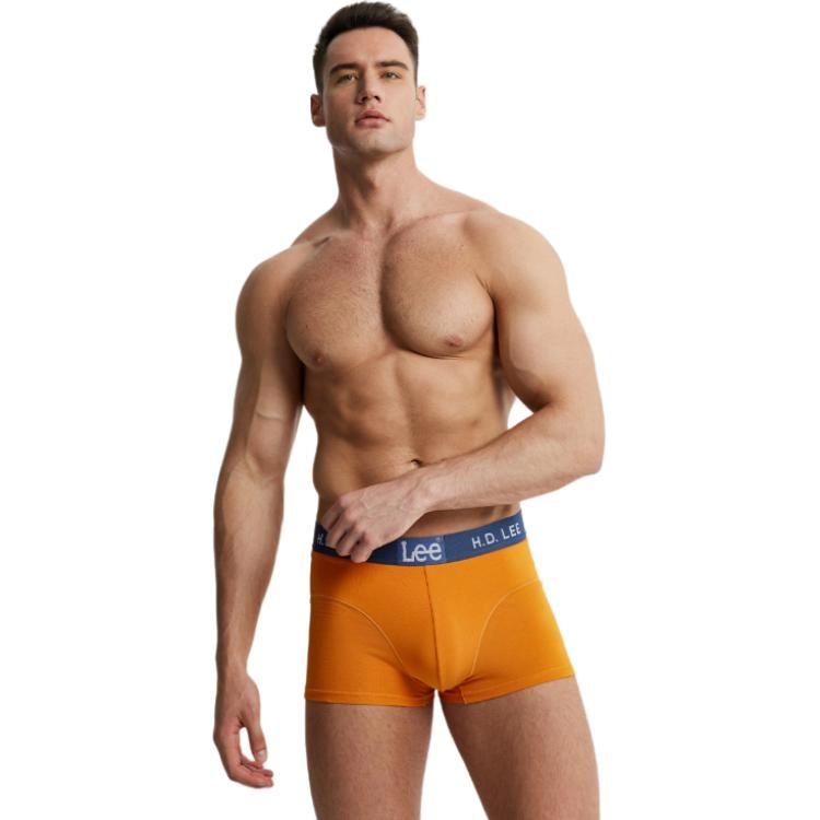 Lee 4