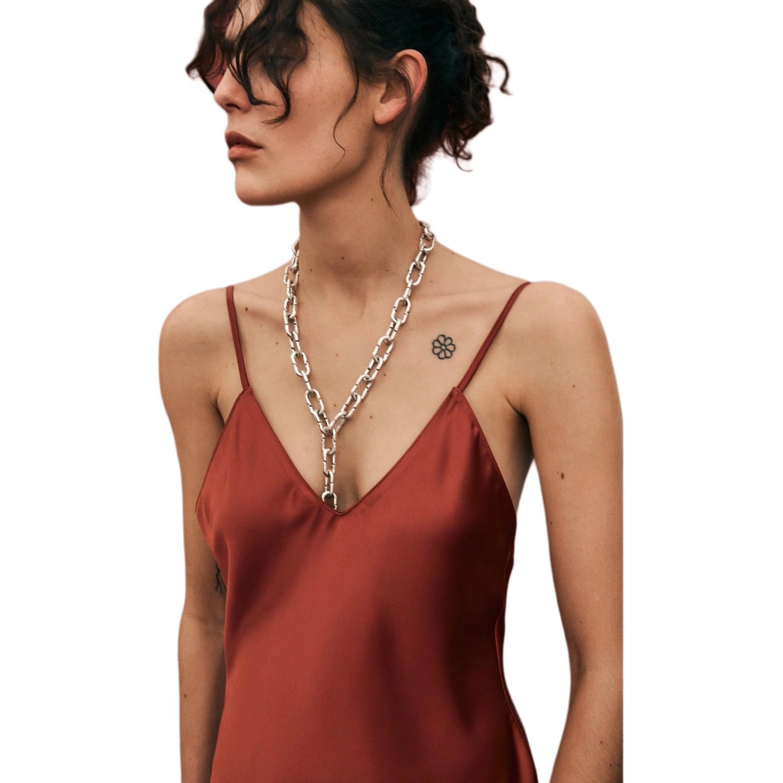 ZARA V