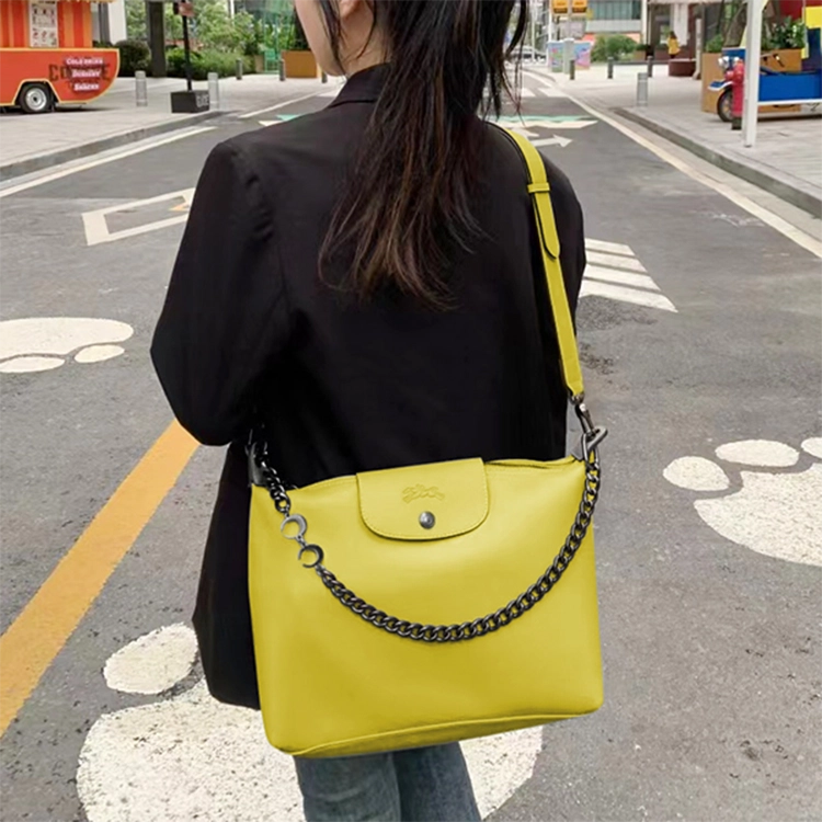 longchamp hobo