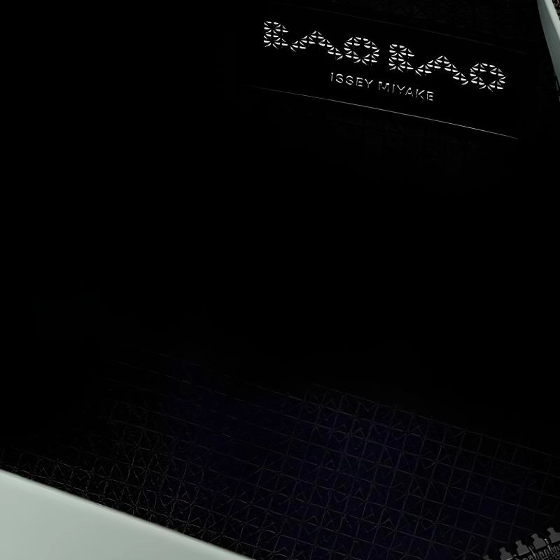ISSEY MIYAKE Boston