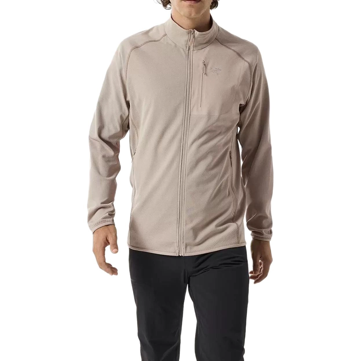 Arcteryx DELTA 12 Logo