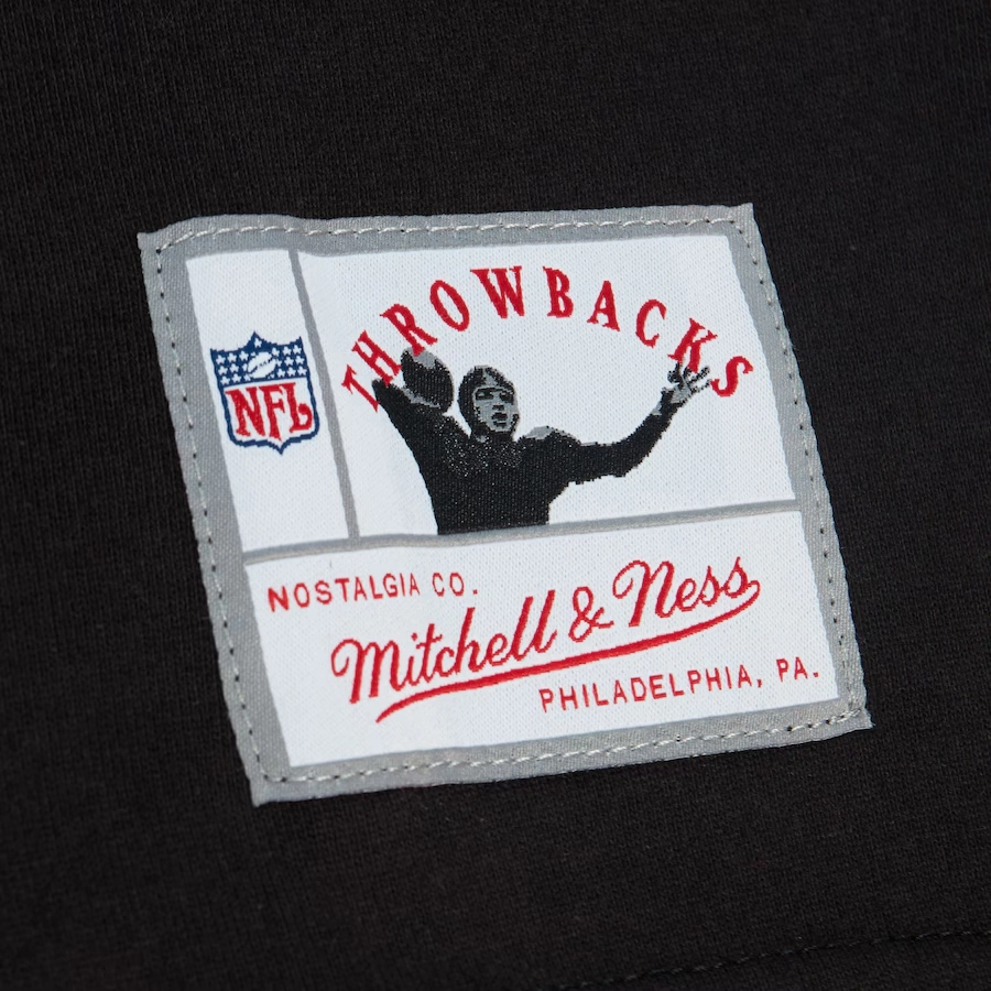 Mitchell Ness x NFL Philadelphia Eagles Division Long Sleeve T
