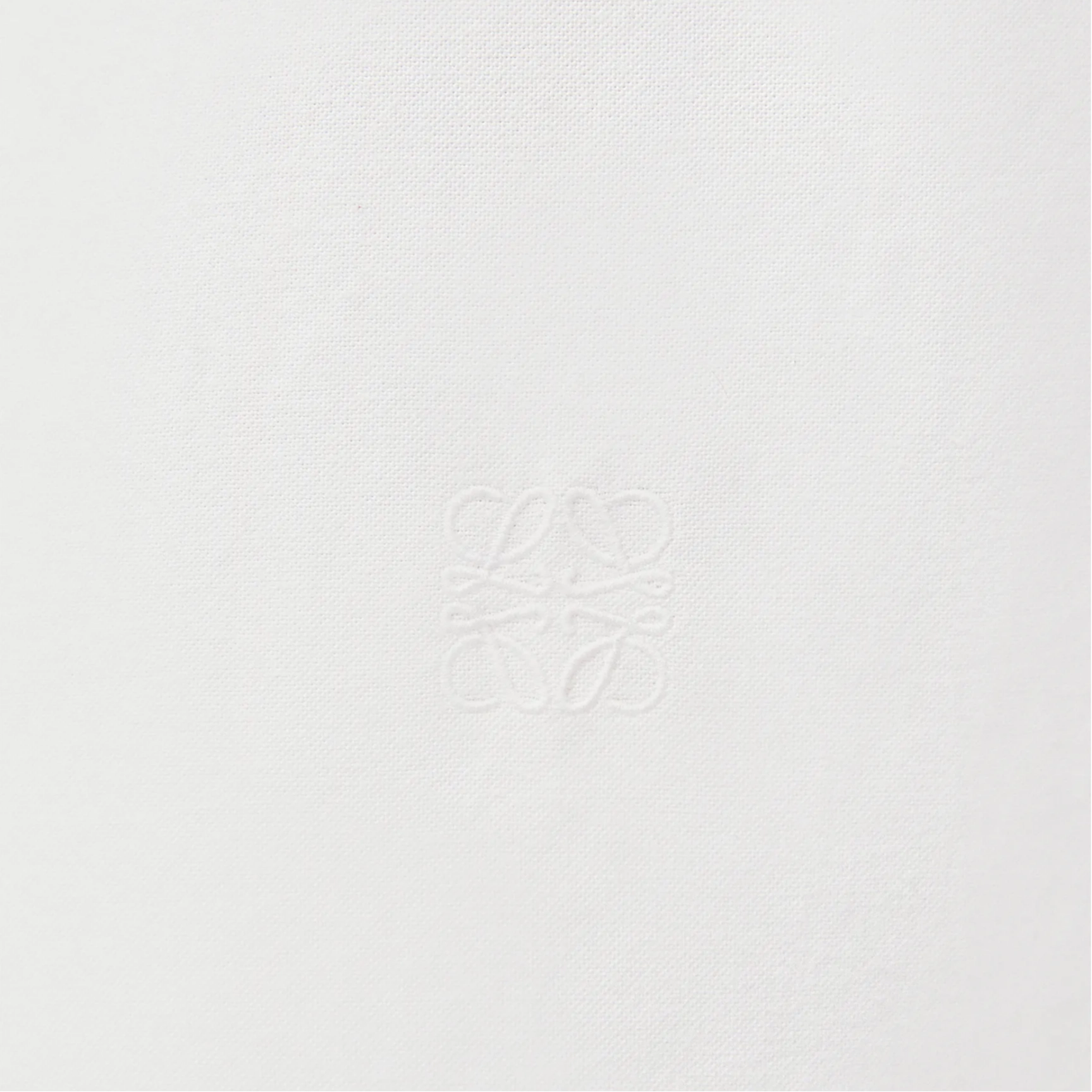 LOEWE FW24 Logo