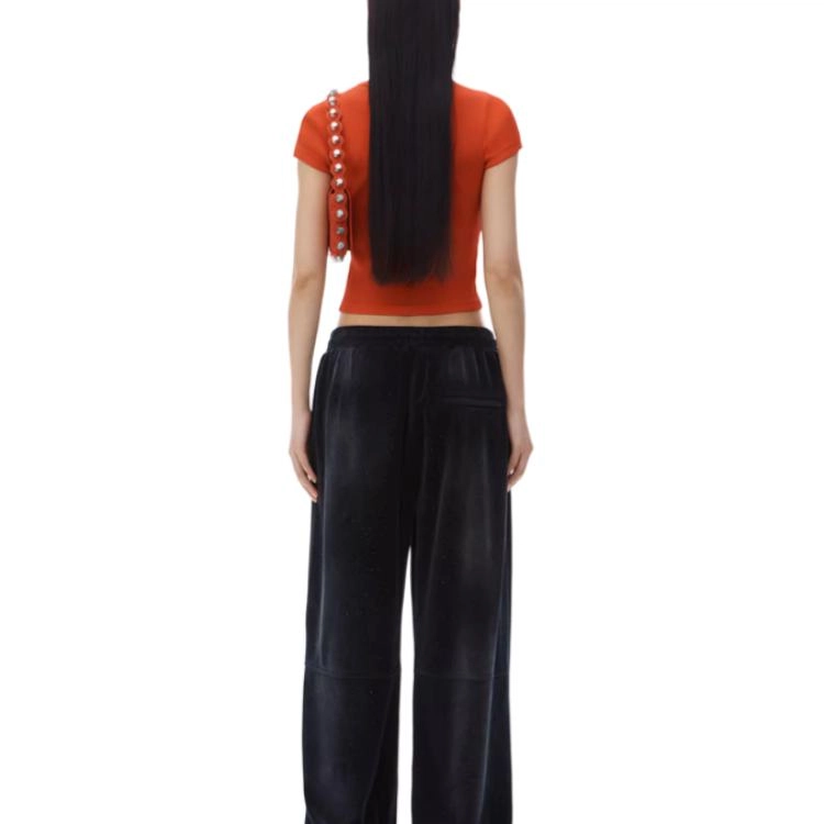 alexander wang FW24 T