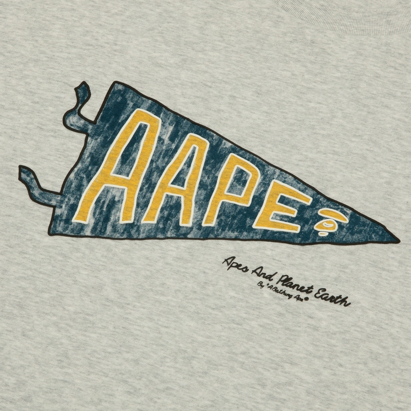 Aape T WH2