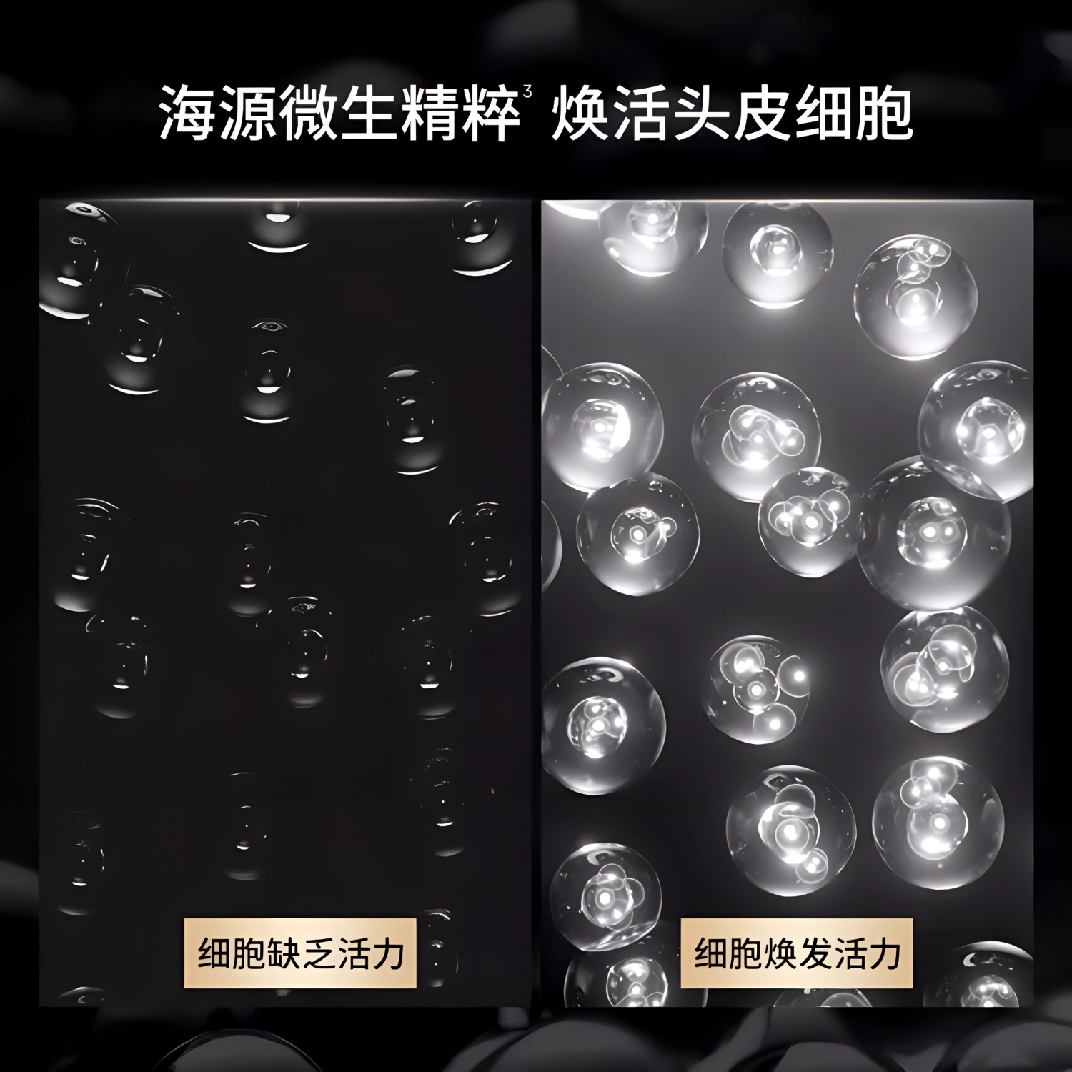 80ml250ml250ml*2250ml*41000ml