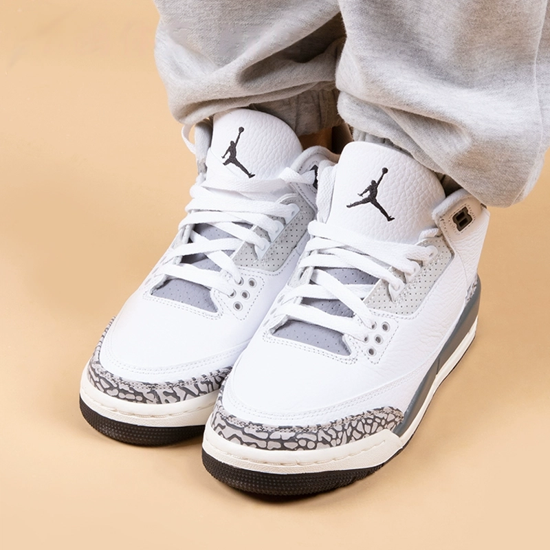 Jordan Air Jordan 3 Retro Hide N Sneak GS