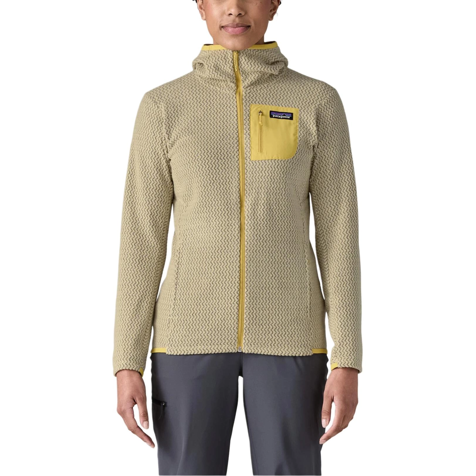patagonia R1 Air Logo