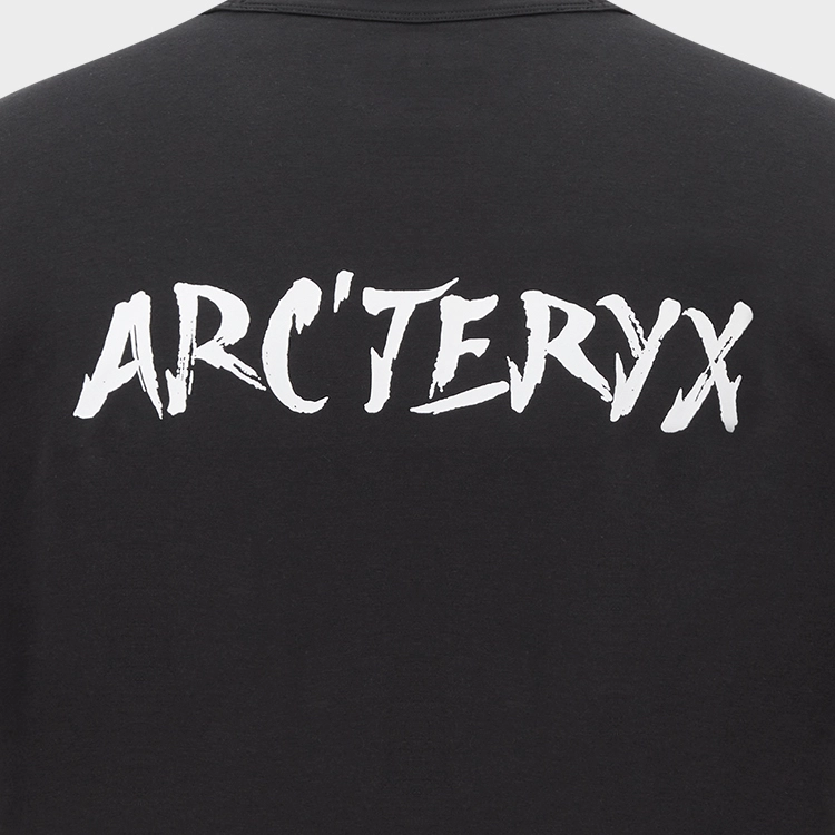 Arcteryx Captive LegendT