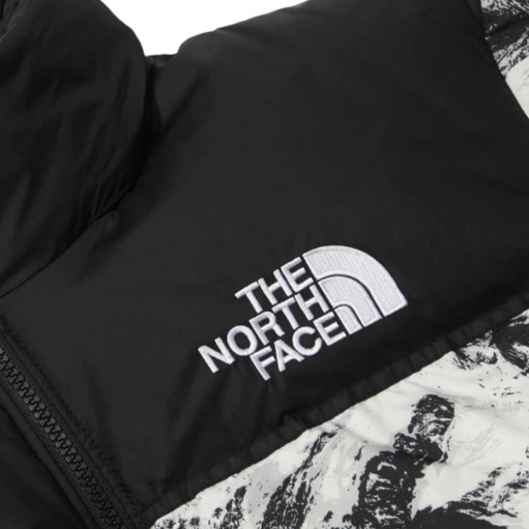 THE NORTH FACE M'S 1996 NOVELTY NUPTSE JACKET