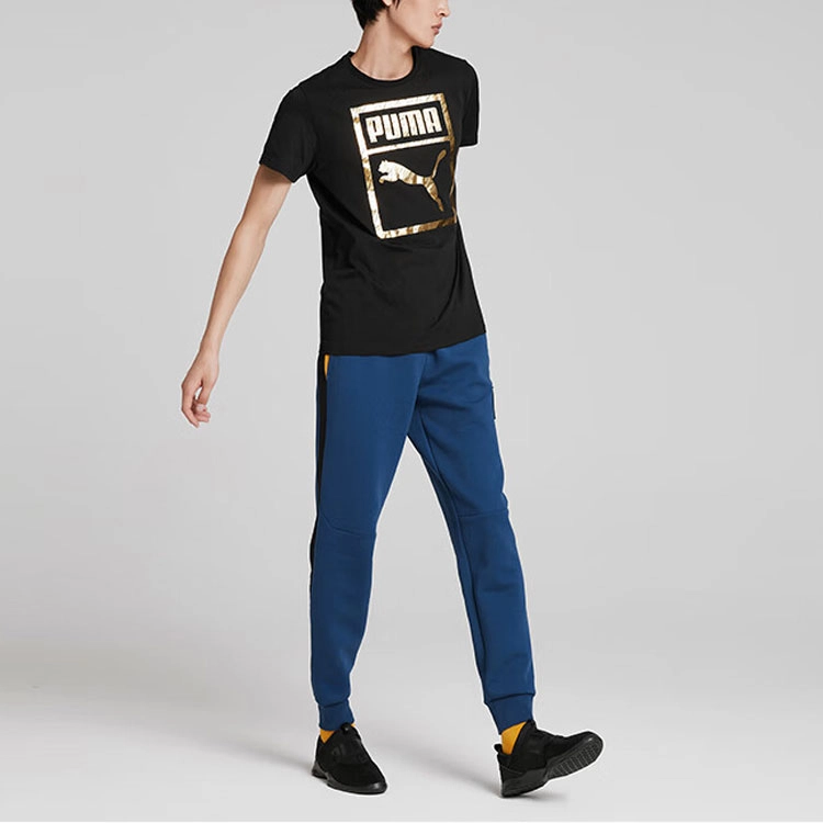 Puma T