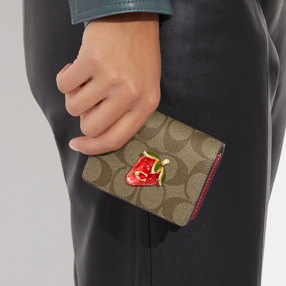 COACH Chain 10