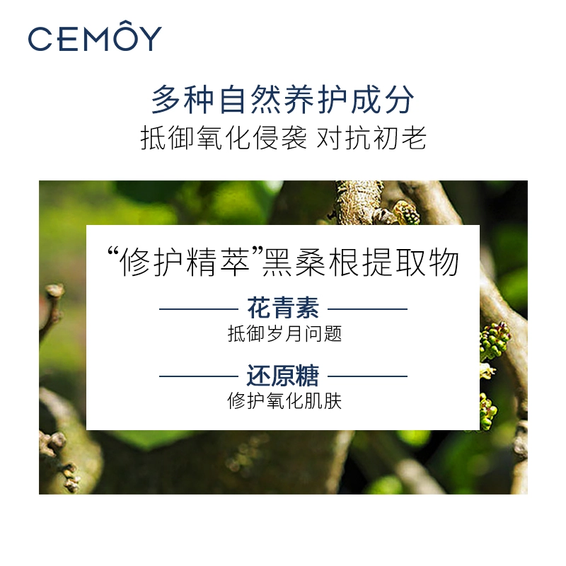 CEMOY 120ml+120ml