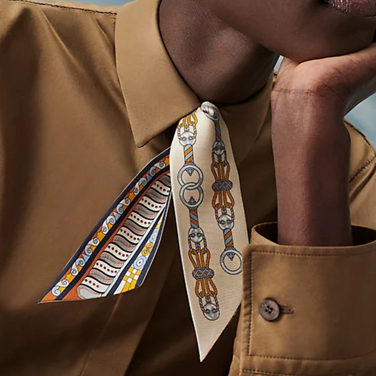 HERMES Harnais en Rosace twilly