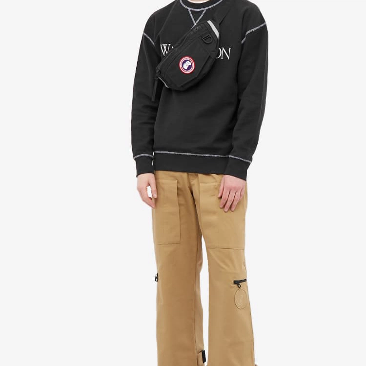 Canada Goose