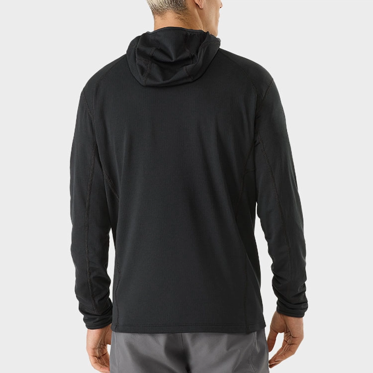 Arcteryx Delta 12 Zip Hoody Logo