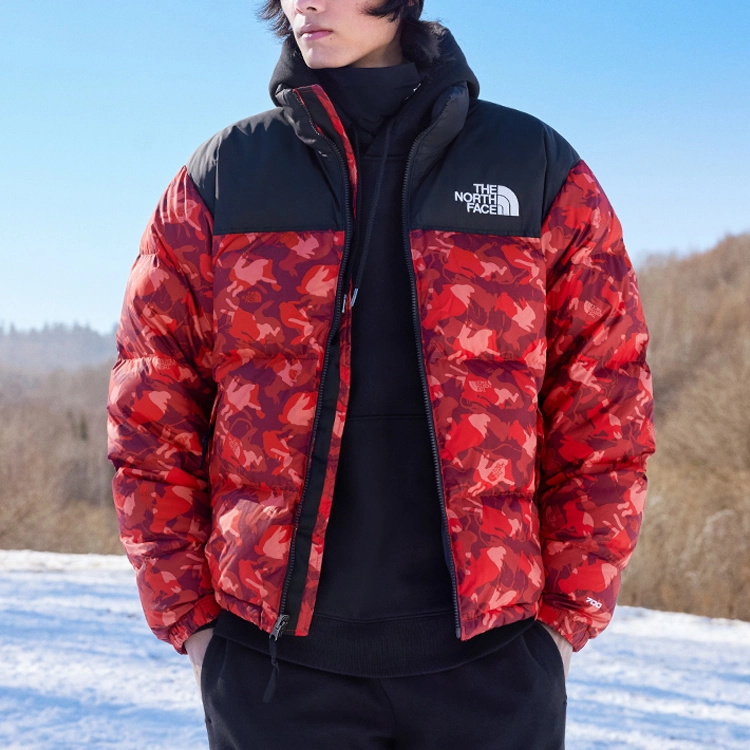 THE NORTH FACE 1996Nuptse Logo
