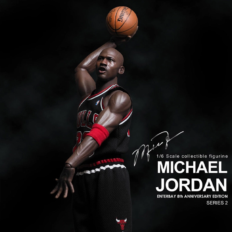 ENTERBAY 23 8 jordan