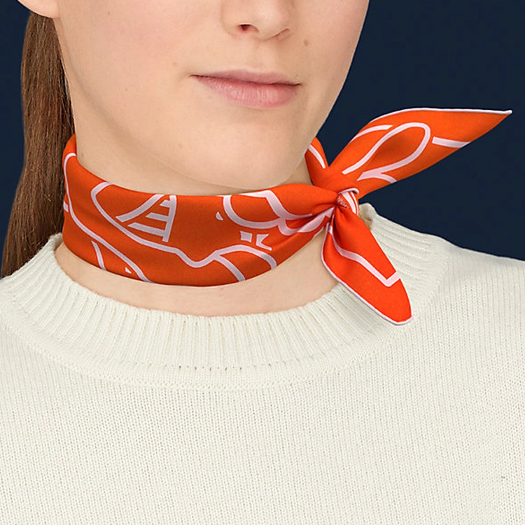 HERMES 45VermillonRose