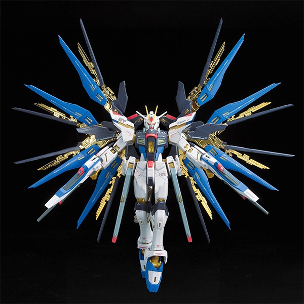 BANDAI RG 1144 SEED DESTINY 13cm