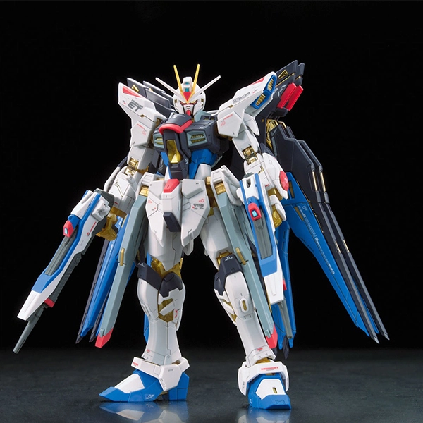 BANDAI RG 1144 SEED DESTINY 13cm