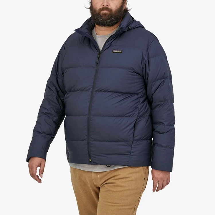 patagonia Silent Down Jacket
