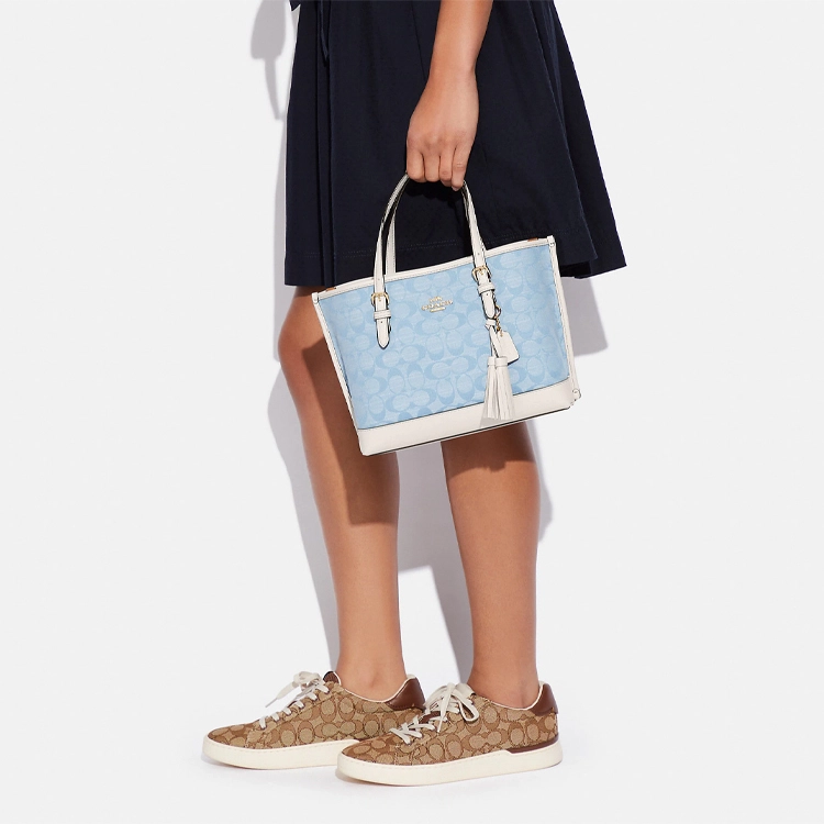 COACH Mollie 25 Tote