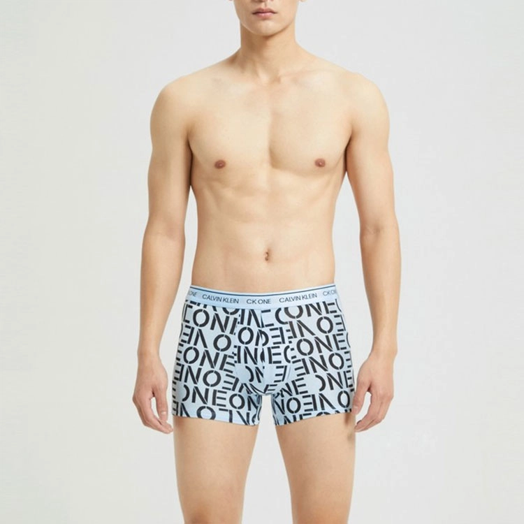 CKCalvin Klein Logo 1