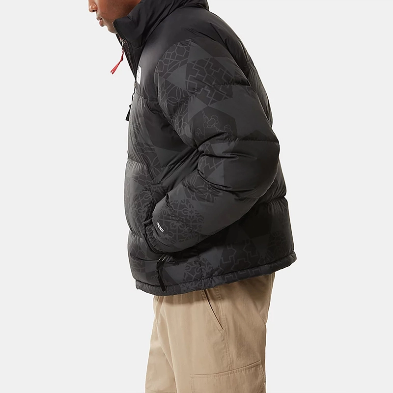 THE NORTH FACE 1996 Retro Nupts 700