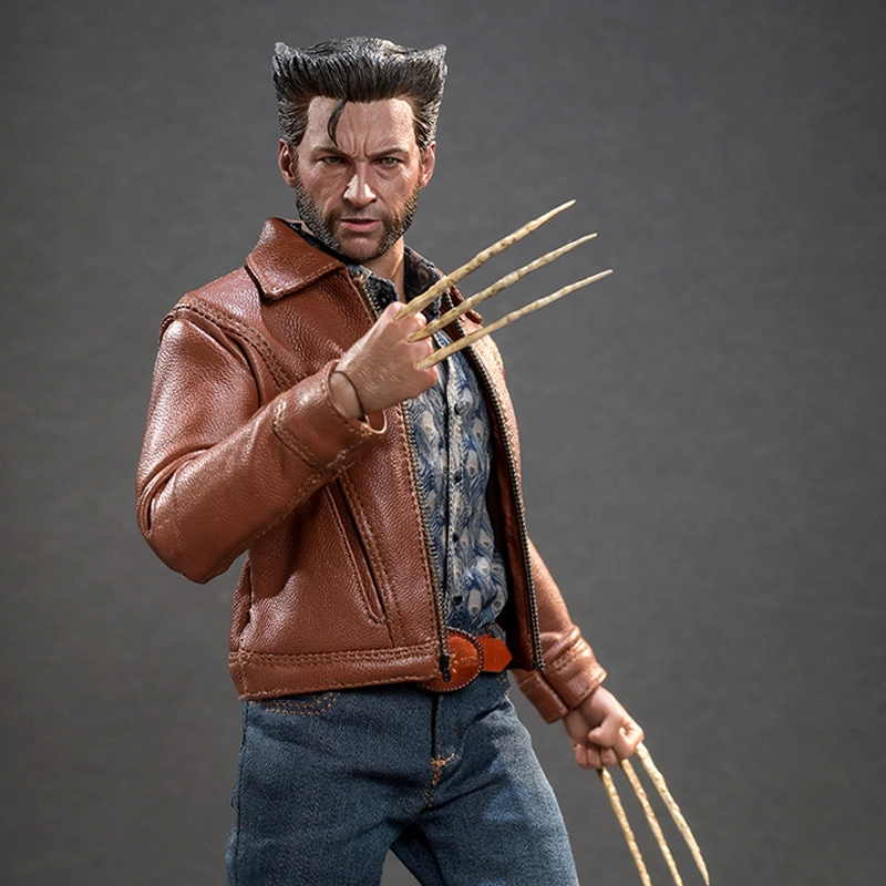 Hot Toys 16 x 30cm