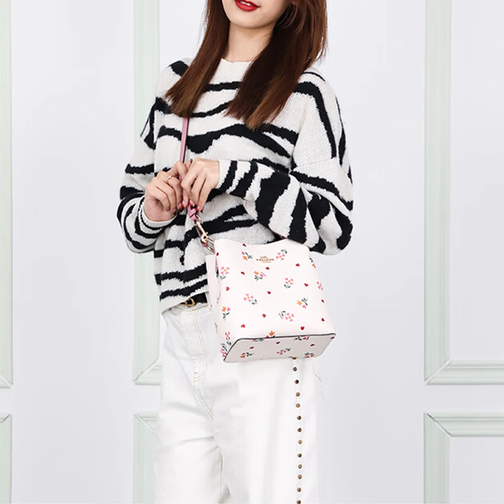 COACH Town 22