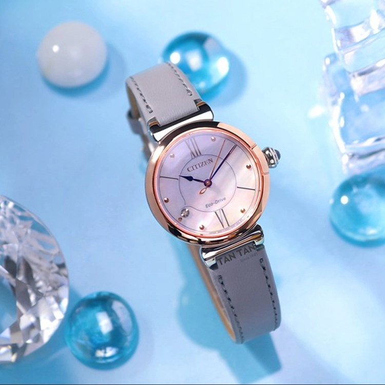CITIZEN EM1074-15D