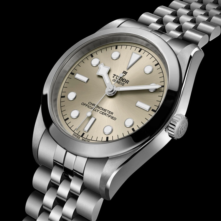 TUDOR 100 41mm M79680-0003