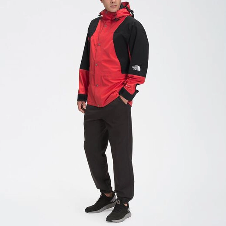 THE NORTH FACE 1994 Retro Mountain Futurelight